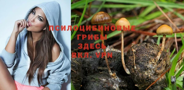 гидропоника Покровск