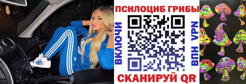 Купить закладки  Иваново  Галлюциногенные грибы Cubensis 